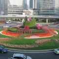 IMG_5410.JPG